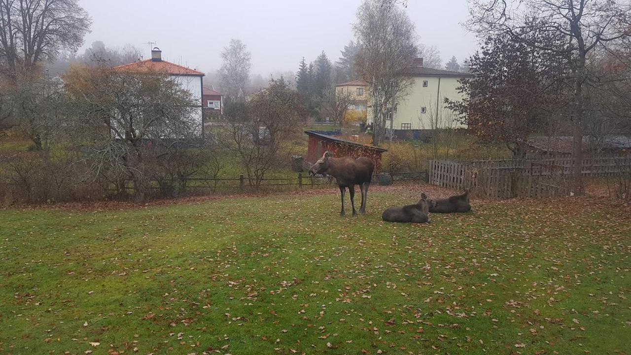 Trevligt Hus Med Egen Gard Och Fri Wifi, Emmaboda Kommun, Lindas Luaran gambar